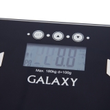 Весы-анализаторы многофункциональные GALAXY GL4850, арт. гл4850