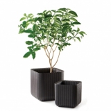 Кашпо Keter Сube Planter M (куб) (17202066) коричневый, 230226