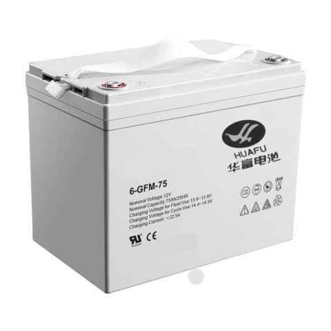 products/1002953, TOR Аккумулятор для штабелёров IWS/PWS/WS 12V/75Ah гелевый (Gel battery)